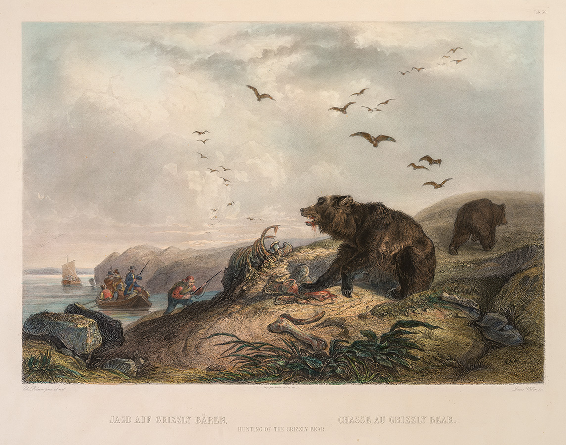 Hunting-of-the-Grizzly-Bear_sized