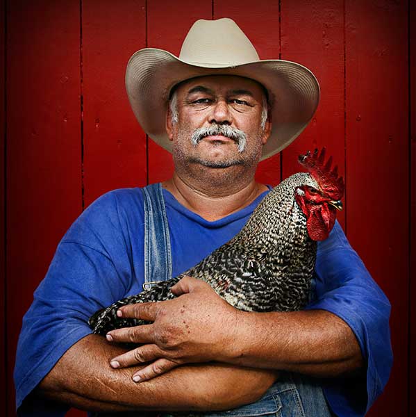 RoosterMan_square