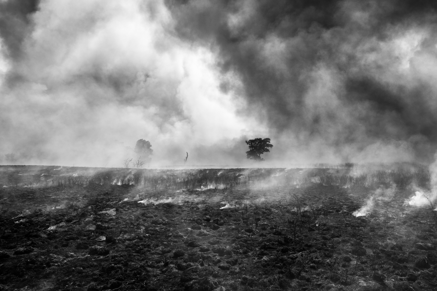 Wild Grass Fire. Huntsville, Kansas. May 18, 2022