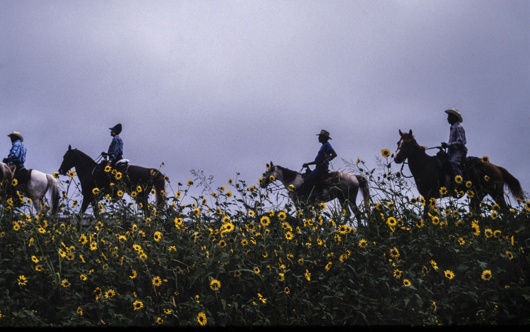 14. Texas Trail Ride, Multicultural Western Heritage Trail Ride from Brackettville to San Antonio, TX, 1994, Ron Tarver