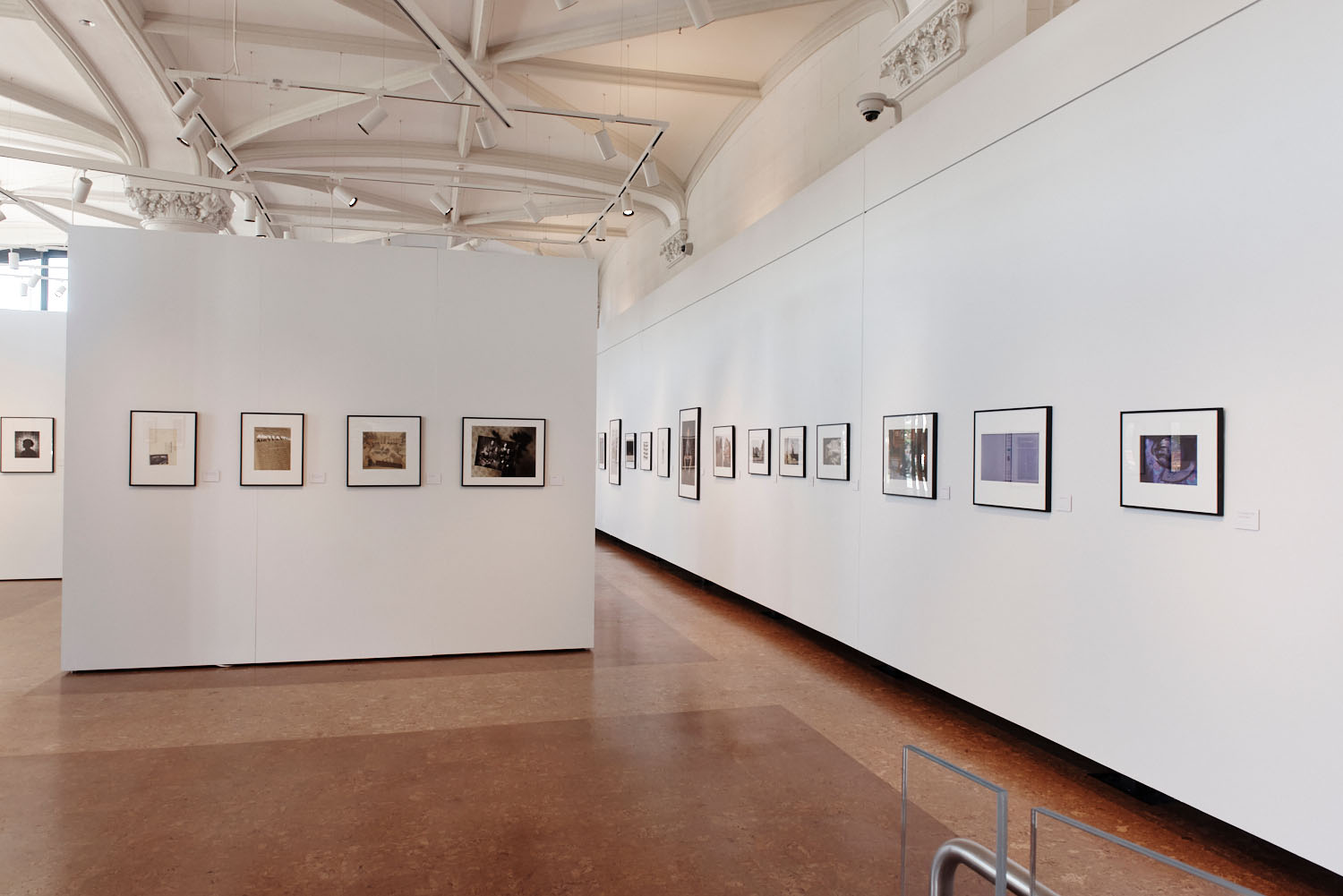 Photographs from A Yellow Rose Project hang in a straight horizontal line on white walls.