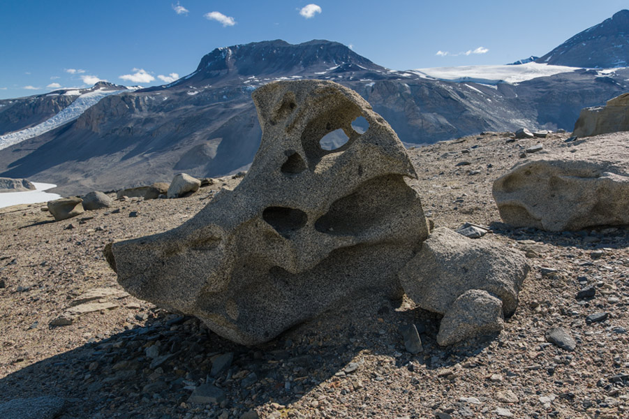 Image from Walking in Antarctica exhibition
