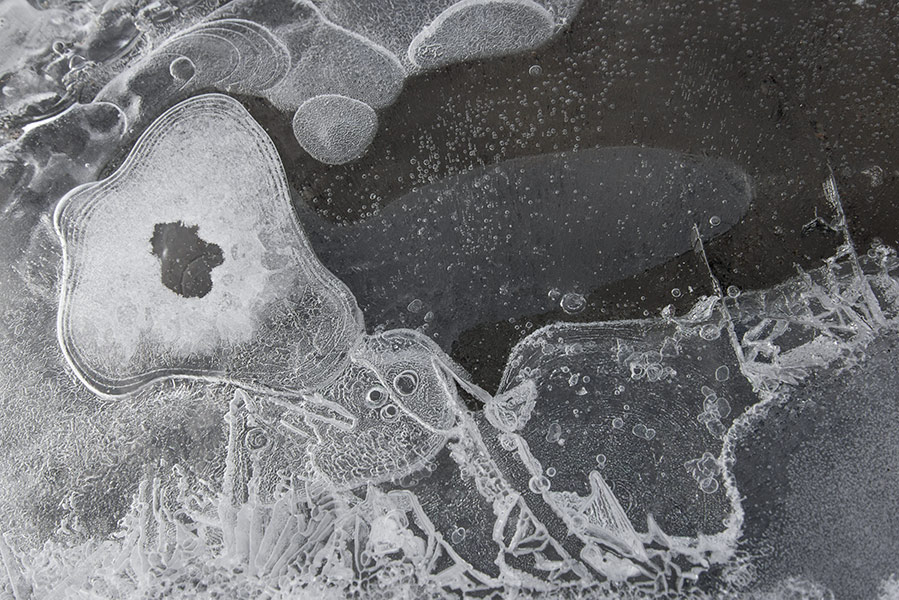 Image from Walking in Antarctica exhibition