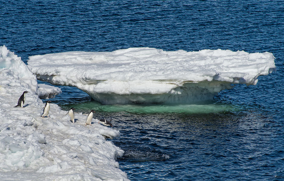 Image from Walking in Antarctica exhibition