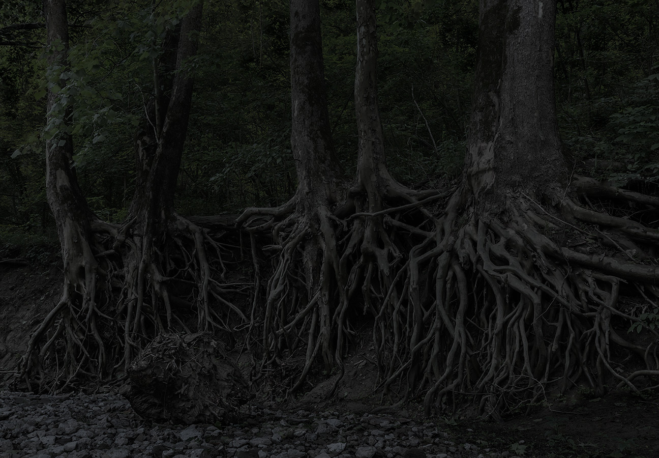 Image from Through Darkness to Light: Photographs Along the Underground Railroad