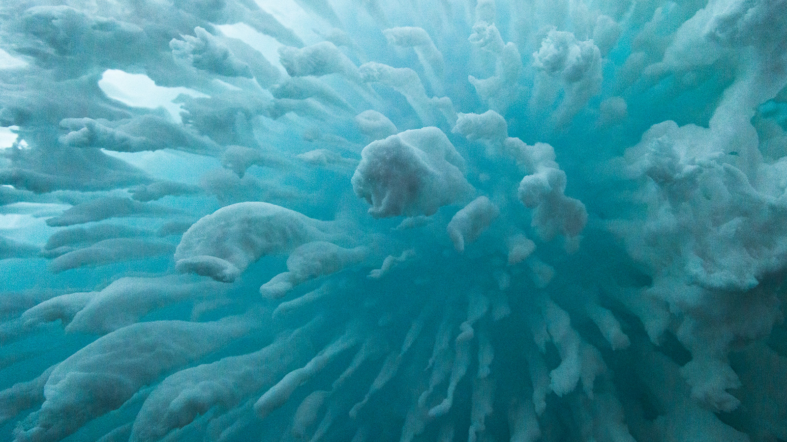 Image from Walking in Antarctica exhibition
