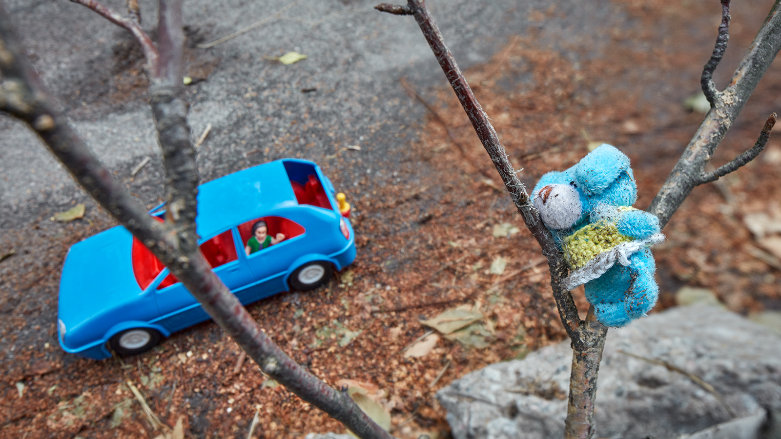 A colorful children's drawing on a white background. A teddy bear sits in a brown tree under a blue grey sky, to the left of the drawing. A blue taxi is drawn at the center of the paper, and a black car is drawn in the bottom right corner.