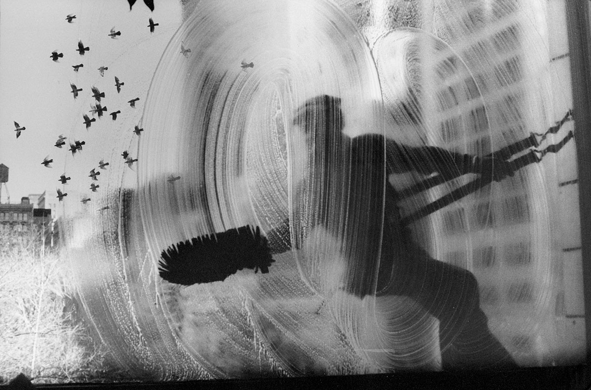 A silhouetted window washer, suspended by harnesses, blurs the cityscape as he scrubs a tall building’s window while birds fly nearby.