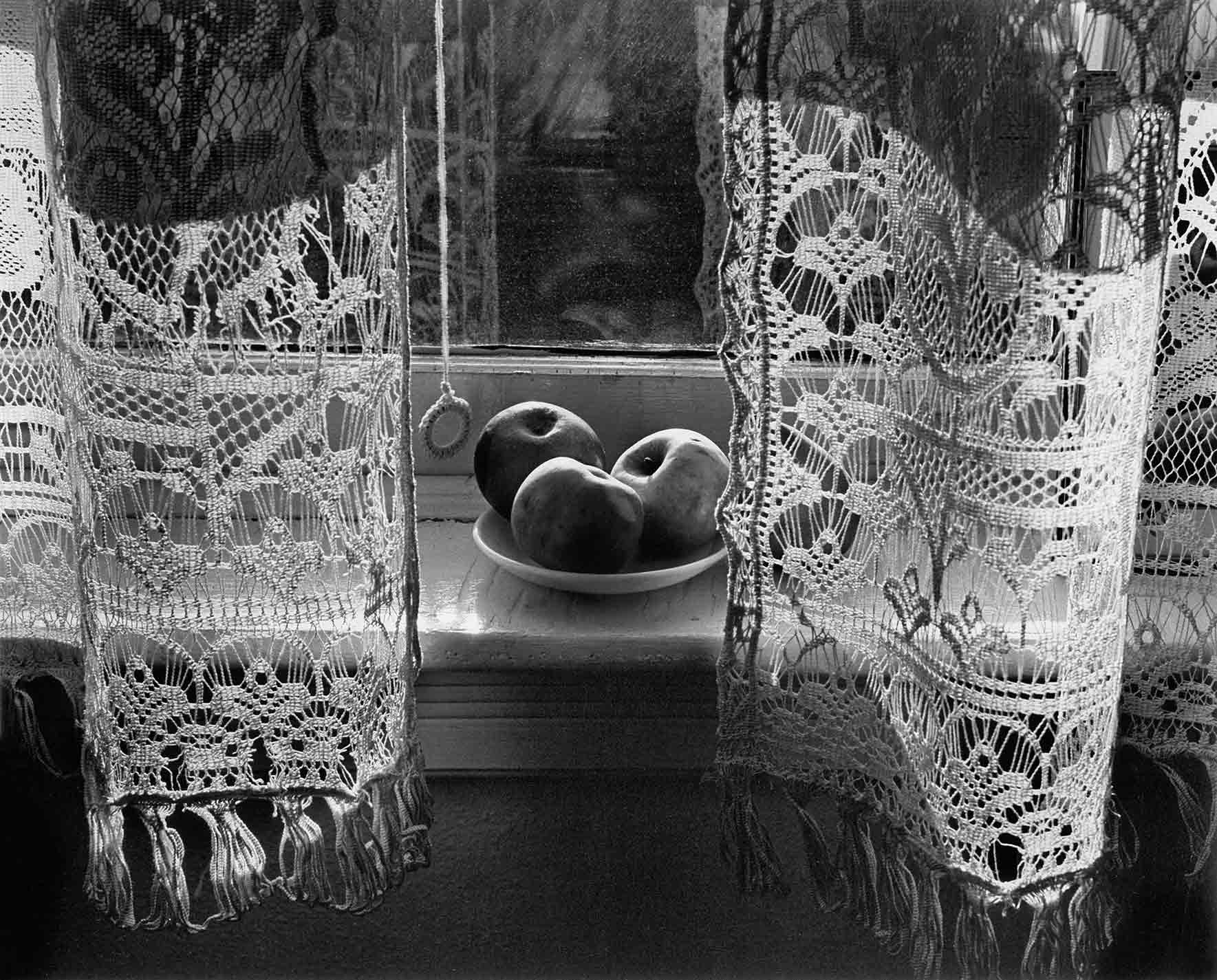 Three apples sit on a wide windowsill behind lace curtains, as sunlight illuminates their patterns.