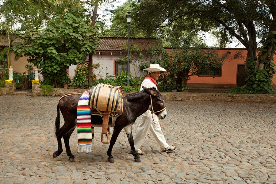 Joel Salcido, Hembra y Macho, 2012; archival pigment ink photograph printed on German Hahnemühle 100% rag paper; 20 x 20 inches, Courtesy of the artist.