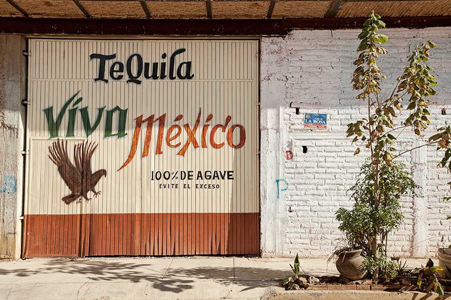 Joel Salcido, En Casa del Agave, 2012; archival pigment ink photograph printed on German Hahnemühle 100% rag paper; 20 x 20 inches, Courtesy of the artist.