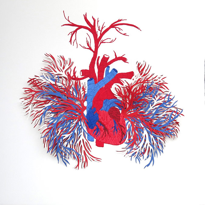 A paper cutout of an anatomically correct heart with blood vessels extending to the lungs and brain, in shades of red and blue, against a white background.